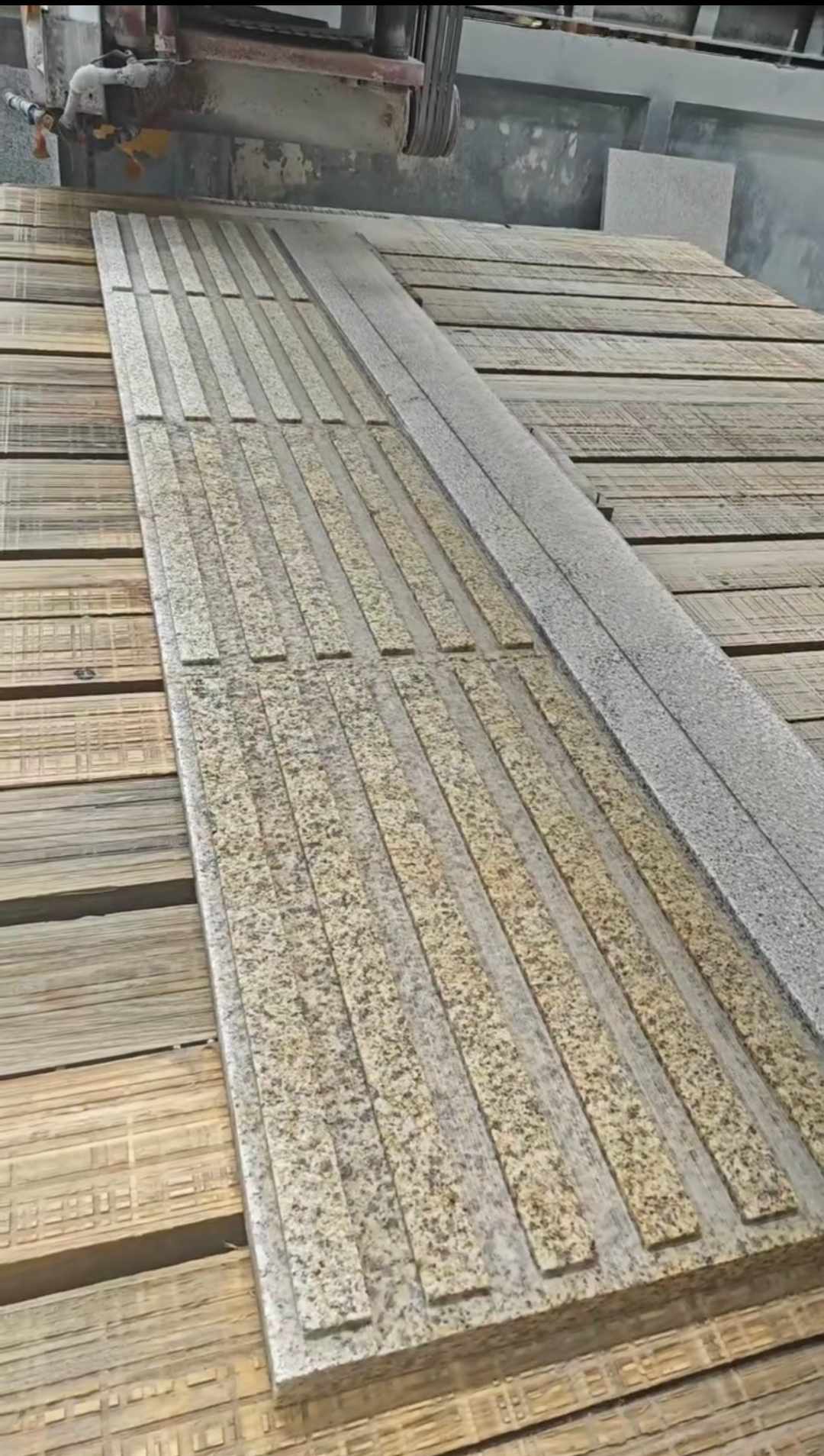 通化黄金麻盲道石 盲条